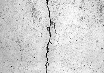 Fig. 5 — Replica micrograph showing the branched appearance of the cracking, typical of a stress corrosion process.