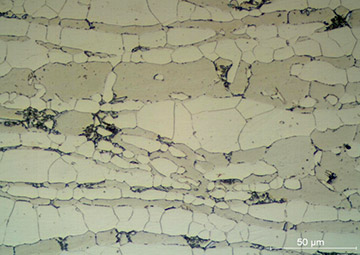 Fig. 8 — Micrograph with electrolytic etching of a duplex stainless steel showing the austenite (lighter), ferrite and sigma (dark spots) phases. Sample analyzed in the laboratory.