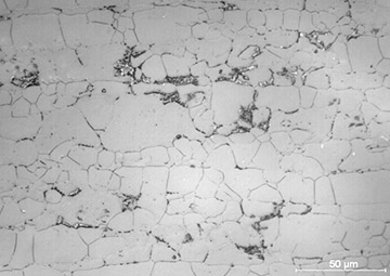 Fig. 9 — Micrograph with electrolytic etching of a duplex stainless steel showing the austenite (smoother), ferrite and sigma (dark spots) phases. Replica brought from the field and analyzed in the laboratory.